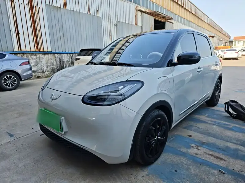 Wuling Bingo, 2024