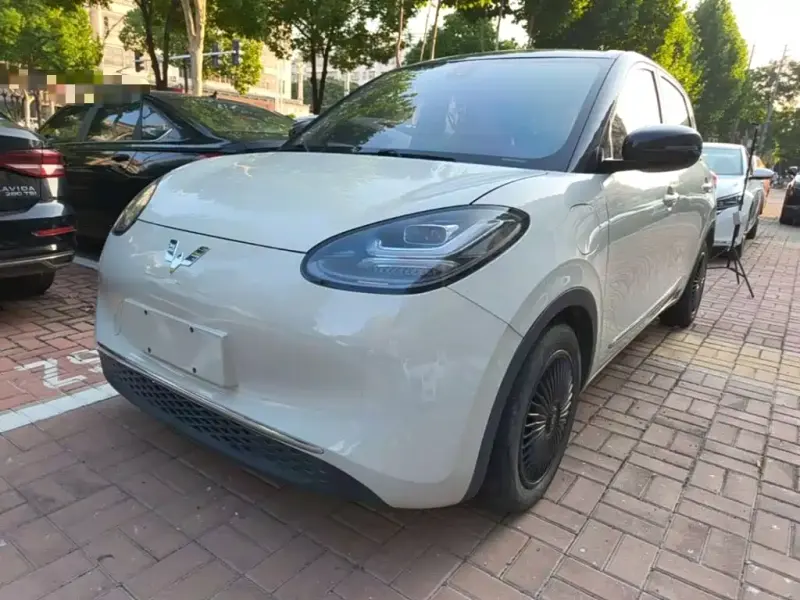 Wuling Bingo, 2023