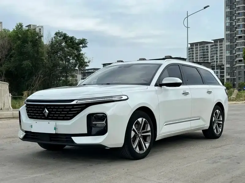Baojun Valli, 2023