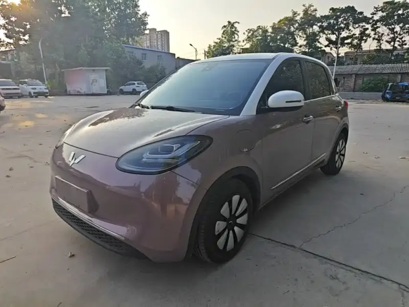 Wuling Bingo, 2023