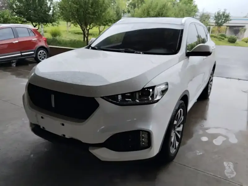 Wey VV6, 2018