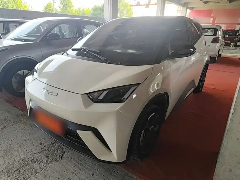 BYD Seagull, 2024