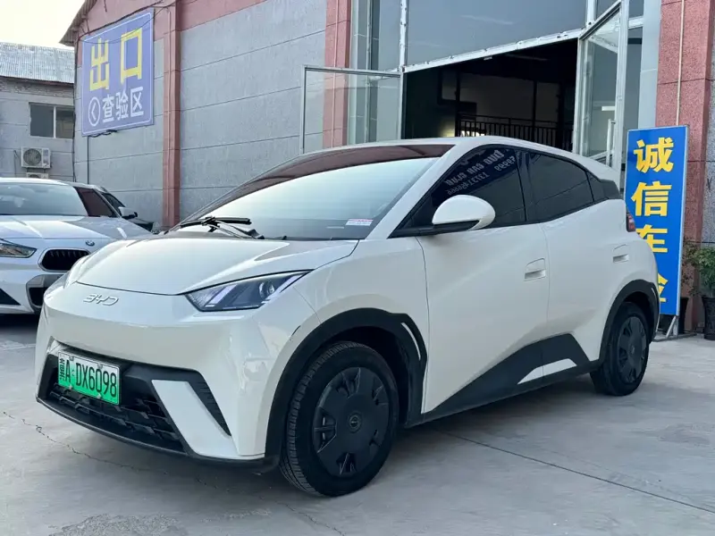 BYD Seagull, 2024