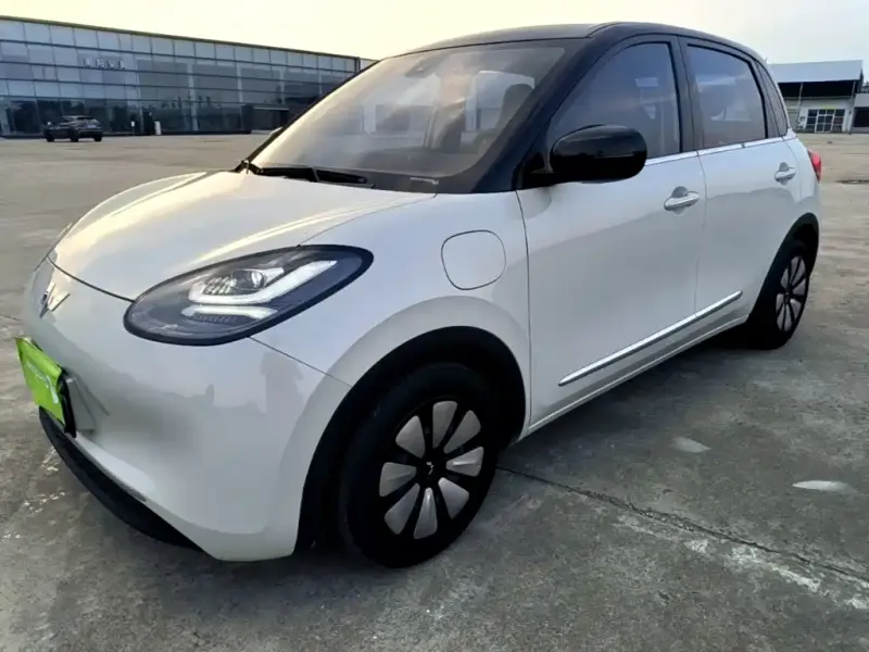 Wuling Bingo, 2024
