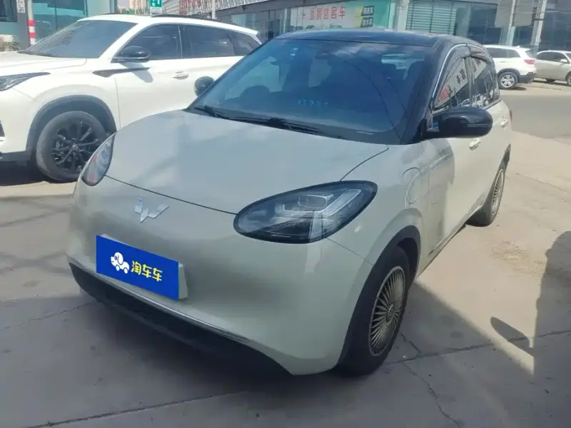 Wuling Bingo, 2023
