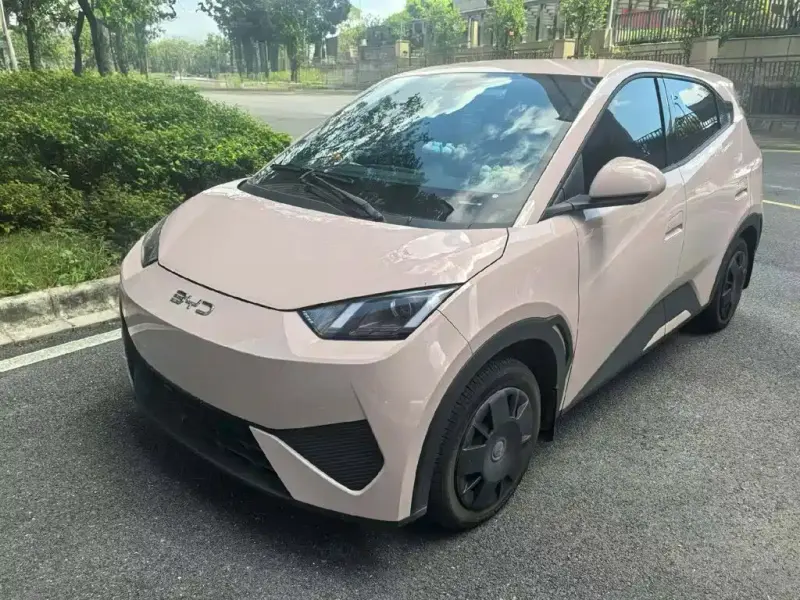 BYD Seagull, 2025