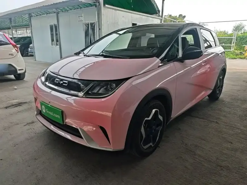 BYD Dolphin, 2022