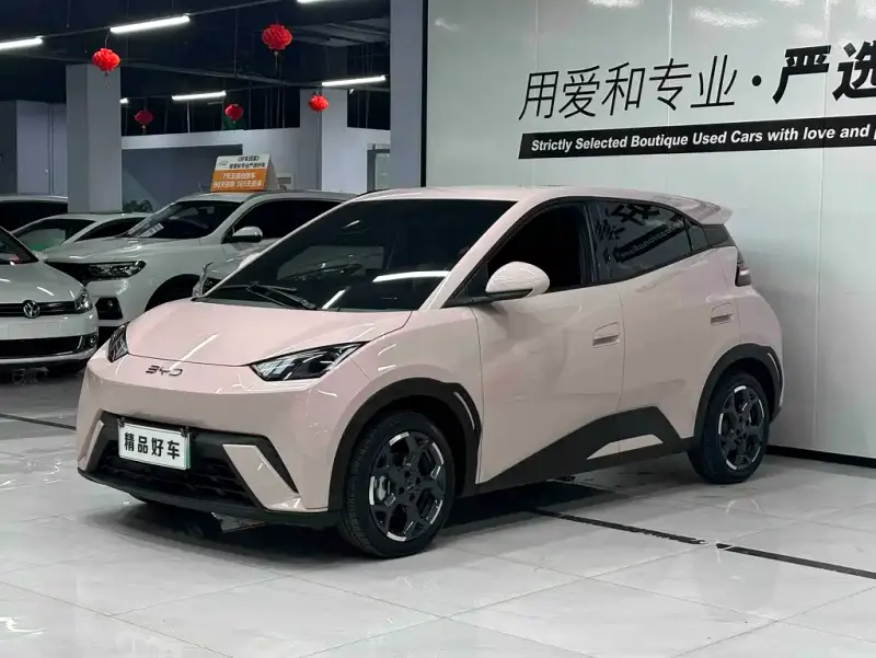 BYD Seagull, 2024