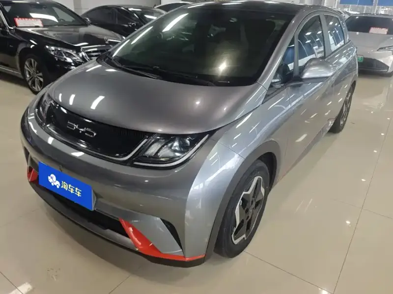 BYD Dolphin, 2022