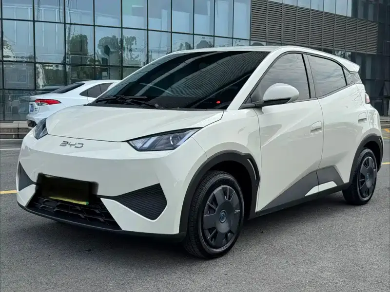 BYD Seagull, 2026