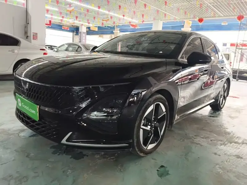 Wuling Xingguang, 2024