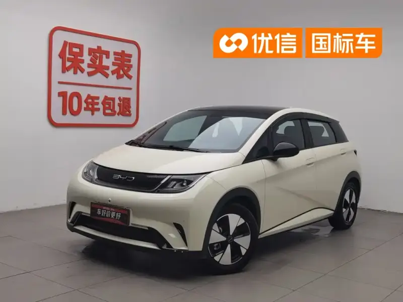 BYD Dolphin, 2024