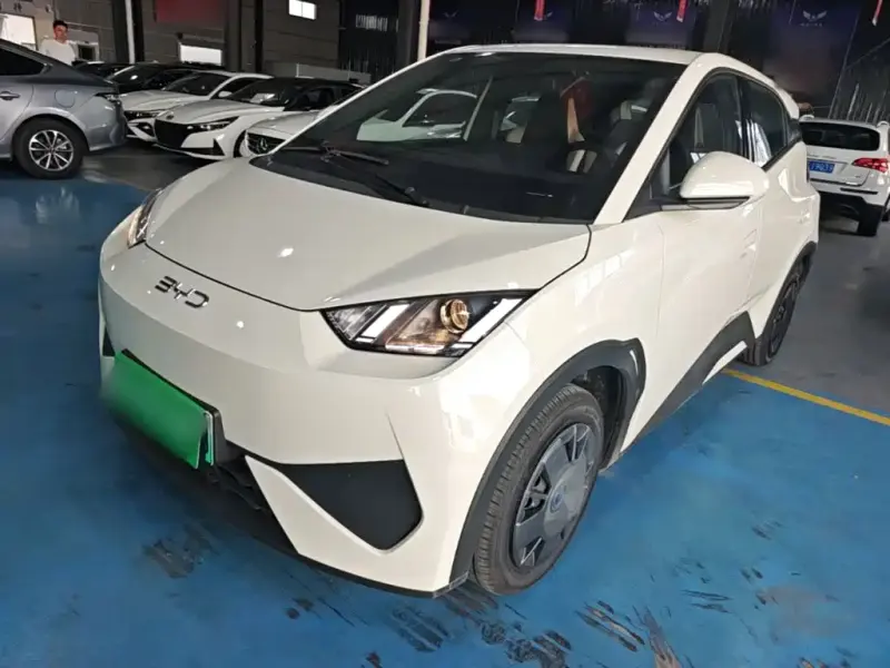 BYD Seagull, 2026