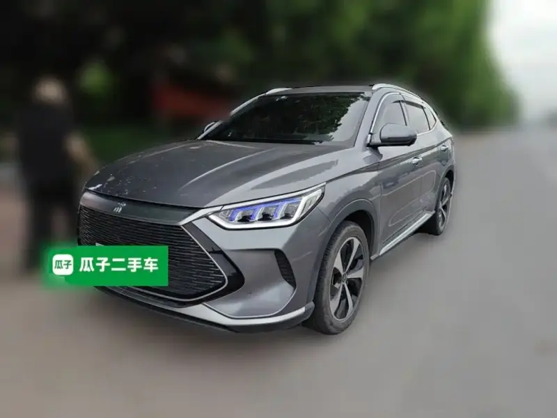 BYD PLUS New Energy, 2021