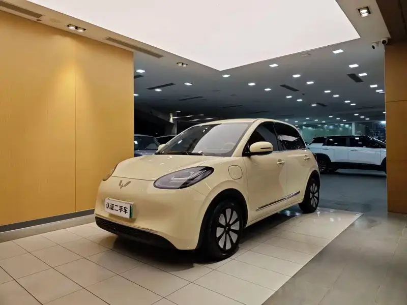 Wuling Bingo, 2026