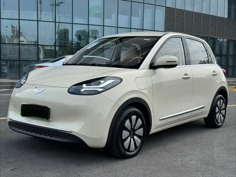 Wuling Bingo, 2026