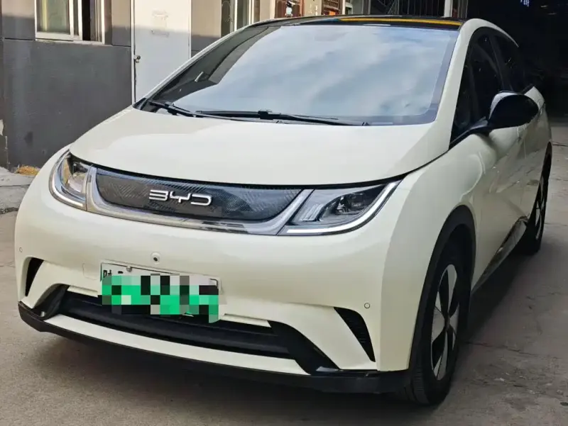 BYD Dolphin, 2024