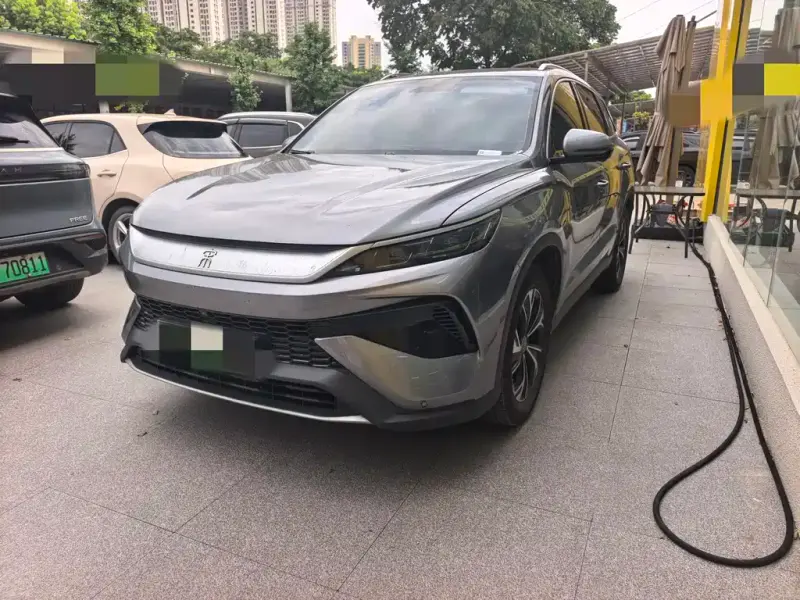 BYD Pro New Energy, 2024