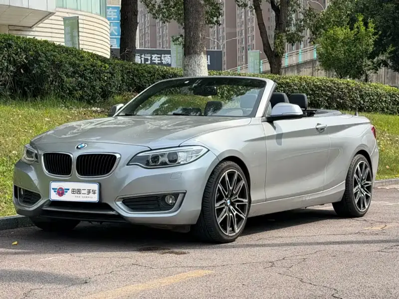 BMW 2 Series (Import), 2017