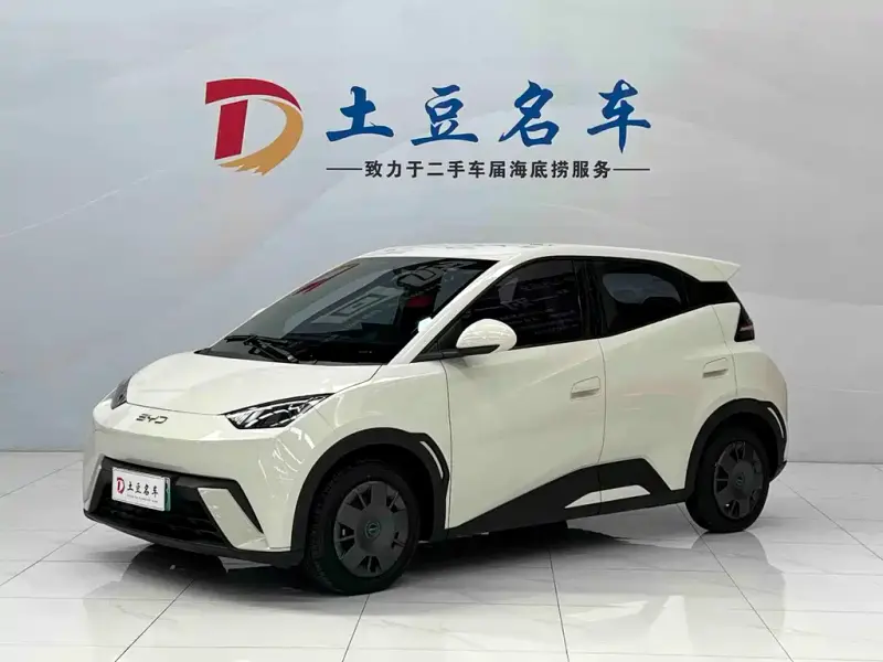 BYD Seagull, 2025