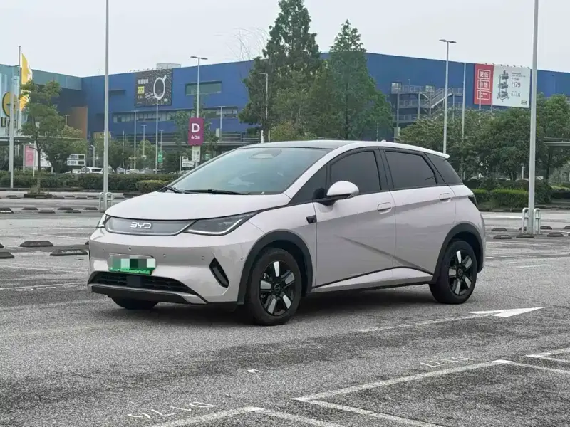 BYD Dolphin, 2025