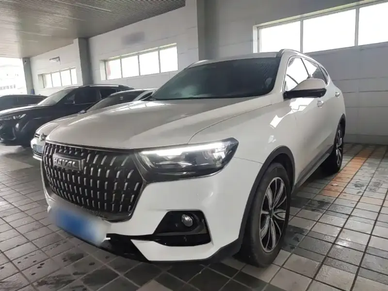 Haval H6, 2024