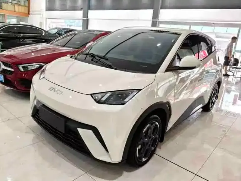 BYD Seagull, 2024