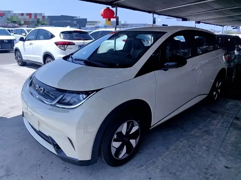 BYD Dolphin, 2026