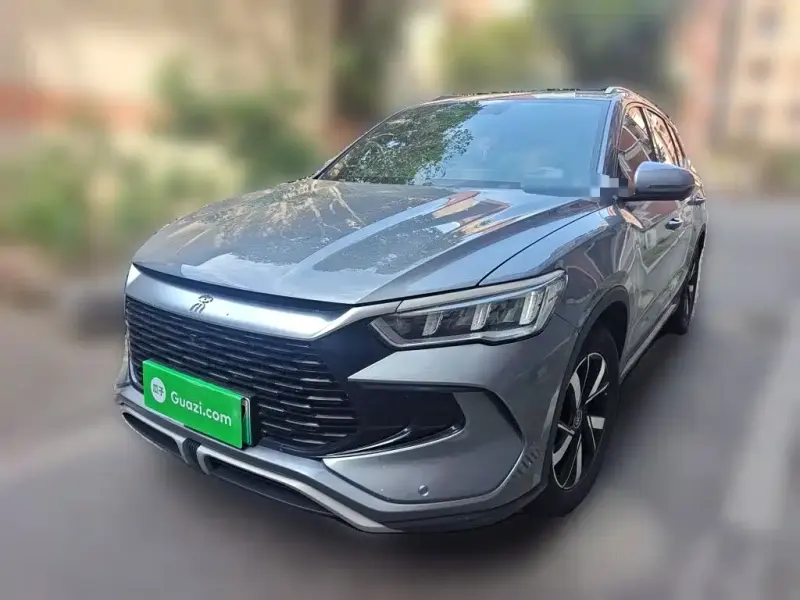 BYD Pro New Energy, 2023