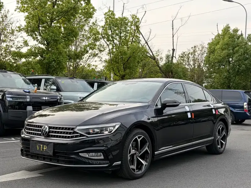 Volkswagen Magotan, 2023