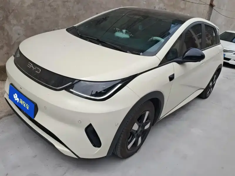 BYD Dolphin, 2025