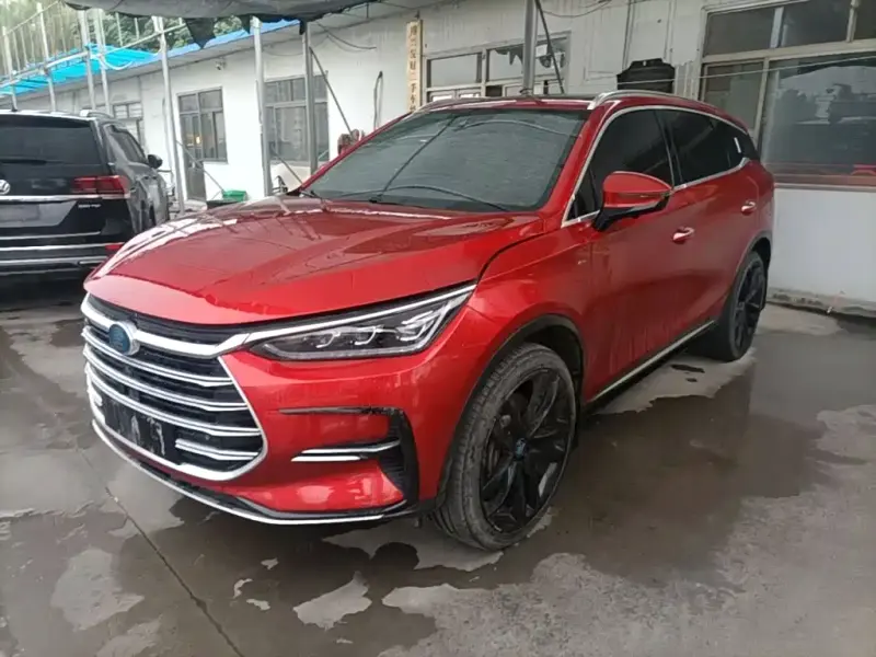 BYD Tang New Energy, 2021