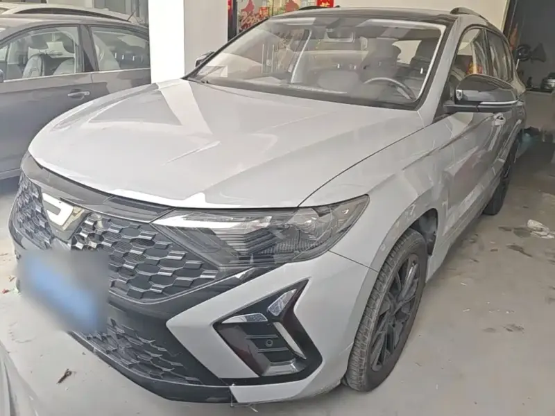 Jetta VS5, 2024
