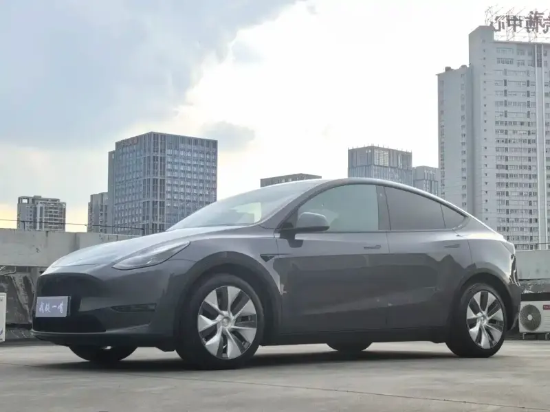 Tesla Model Y, 2021