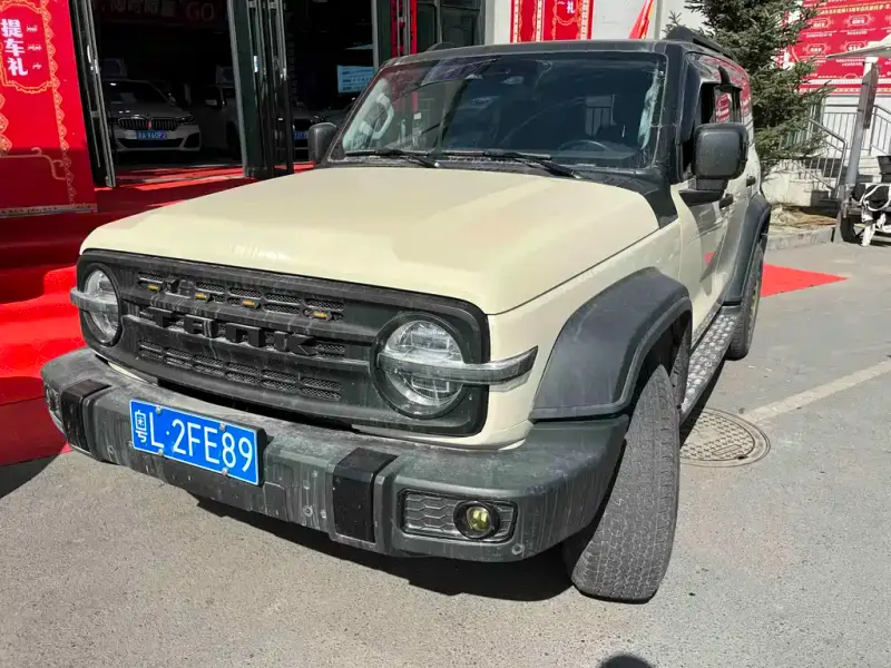 Tank 300, 2021