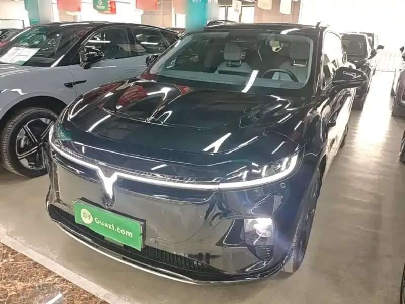 VOYAH Zhiyin, 2025