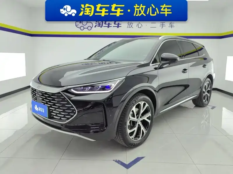 BYD Tang New Energy, 2024