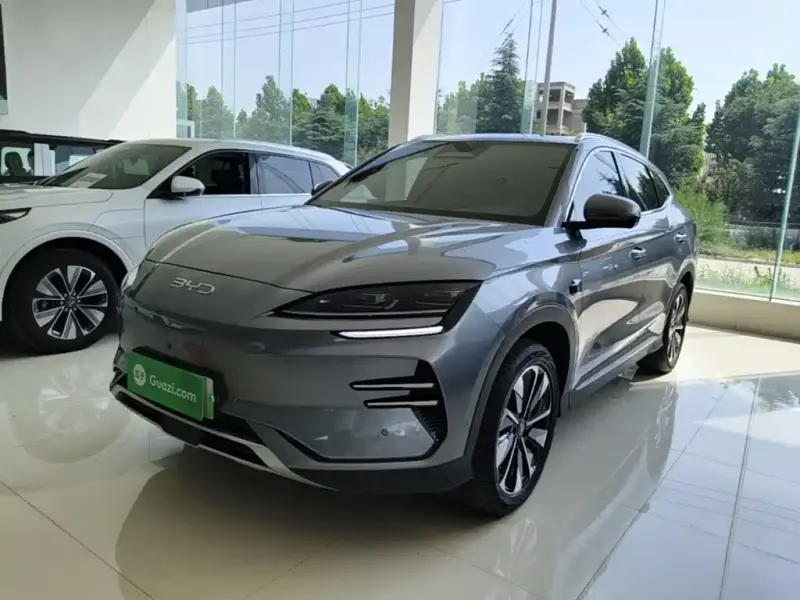BYD PLUS New Energy, 2025
