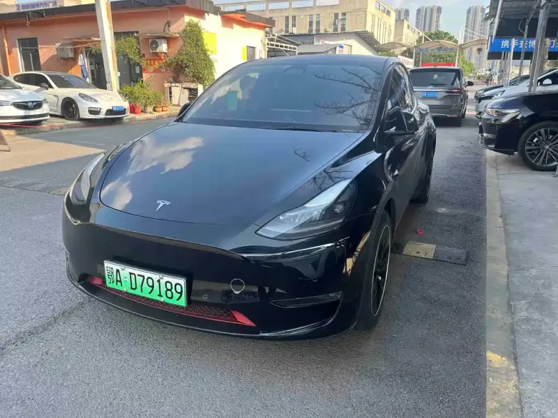 Tesla Model Y, 2021