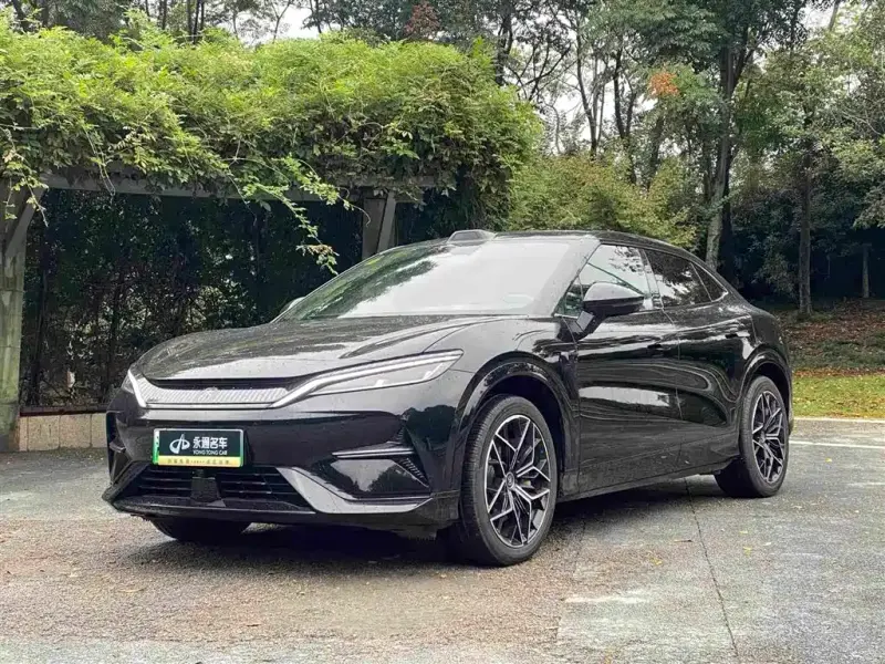 BYD L EV, 2025