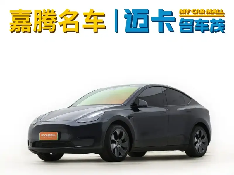 Tesla Model Y, 2024