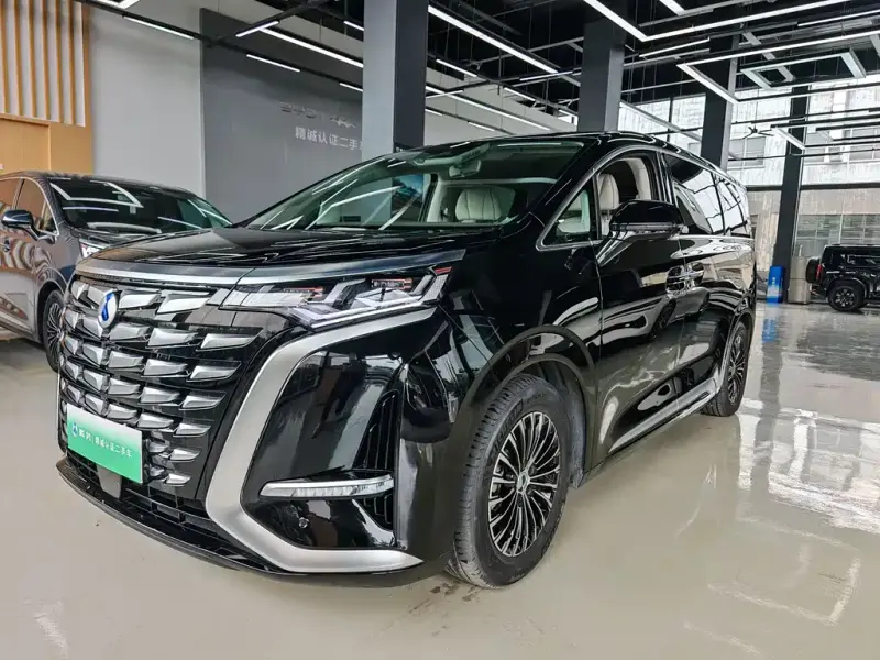 Denza D9, 2023