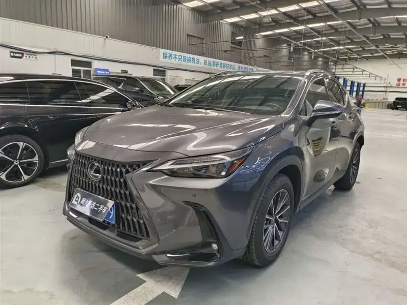 Lexus NX, 2022