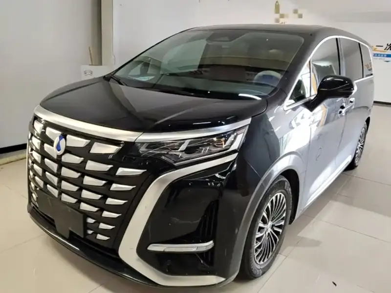 Denza D9, 2024