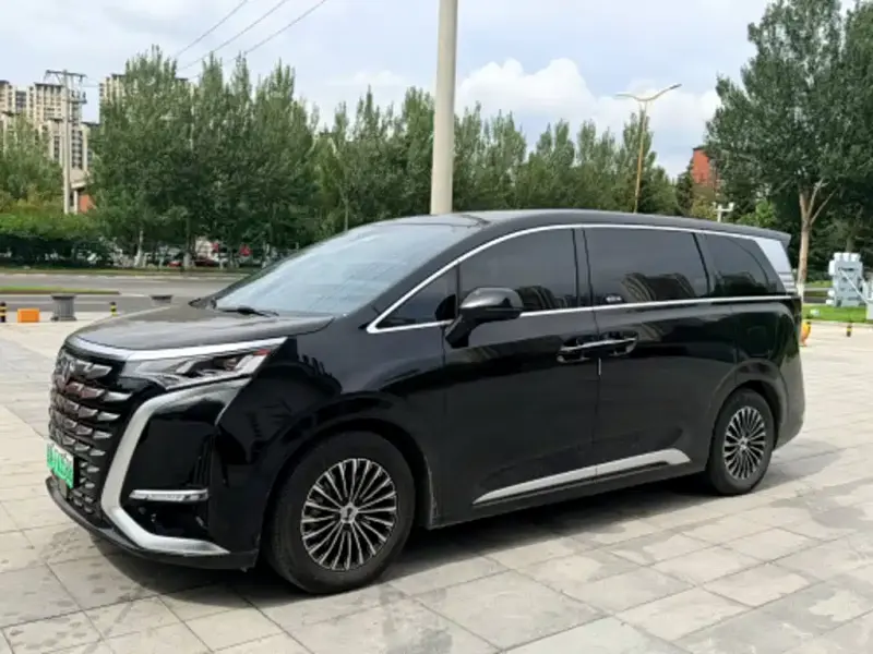 Denza D9, 2025