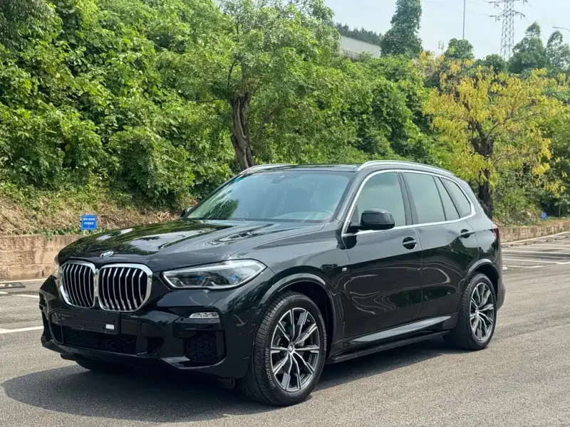 BMW X5 (Import), 2019