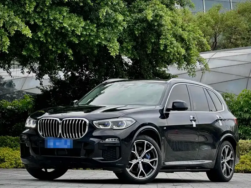 BMW X5 (Import), 2019
