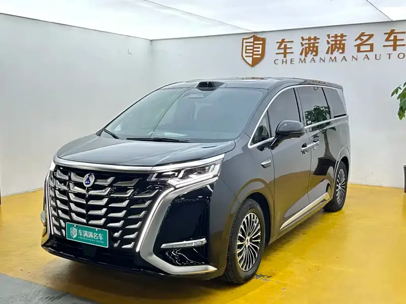 Denza D9, 2025
