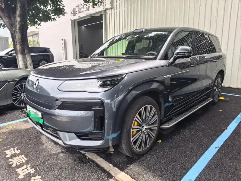 Denza N9, 2025