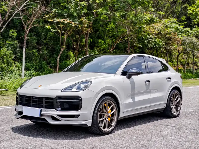 Porsche Cayenne, 2020